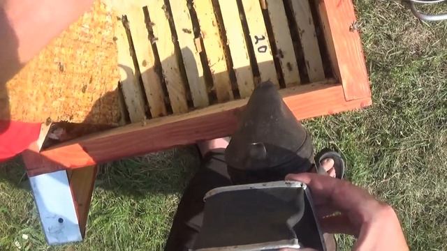 Лечебный отвар для пчёл | Лесной Кордон смотреть онлайн