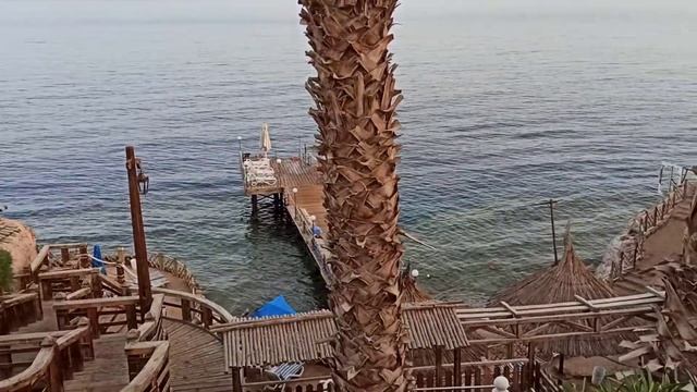 Вид на пляж сверху. JOLIE VILLE GOLF & RESORT 5*Шаркс Бей Шарм-Эль-Шейх Южный Синай Египет смотреть онлайн