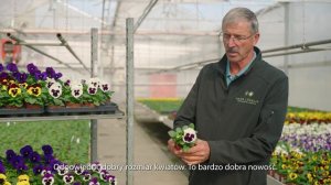 Delta Pro | Syngenta Flowers | English