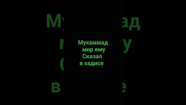 Мухаммад мир ему сказал что читать перед сном #напоминание #религия #единобожие #