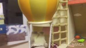 «Оторвавшийся воздушный шар.»/sylvanian families/calico critters/мультик из игрушек/сильвашки