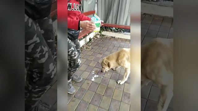 Сочи на две ночи!!! смотреть онлайн