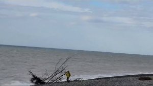 Сочи,Адлер,Сириус.26.11.23гЭто было в полденьТак хочется посмотреть,чтожетамсейчас.Заокномветрище