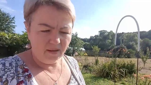 ВЫКОПАЛИ КАРТОШКУ.БЫЛИ В ГОРОДЕ,ПОКАЖУ ЧТО КУПИЛИ | ЖИВЕМ В ДЕРЕВНЕ. смотреть онлайн