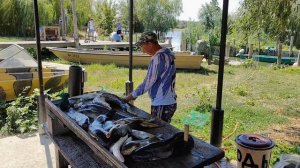 Астрахань 10.08.2024