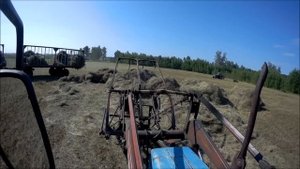 МТЗ 80 кун Работа на сенокосе, погрузка сена.