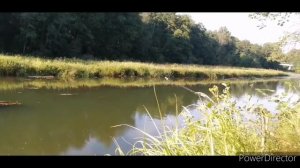 Ловим на реке Систа. 15.08.2020