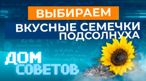 Выбираем вкусные семечки подсолнуха