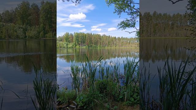 YouCut_20240707_125044719.mp4 Премьера Клипа Мари Краймбрели и Натальи Воскобойниковы "Из май Лайф"