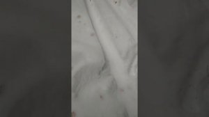 Toyota corolla универсал 4wd full-time механика 1.6 литра