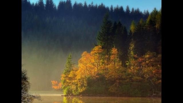 ОСЕННЯЯ ЭЛЕГИЯ (САКСОФОН) смотреть онлайн