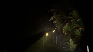 Output comparison in rain: Fenix PD36R & Armytek Dobermann Pro (warm white)