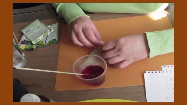 Рассада огурцов и кабачков в опилках.  Пошаговая инструкция  8 апреля 2016