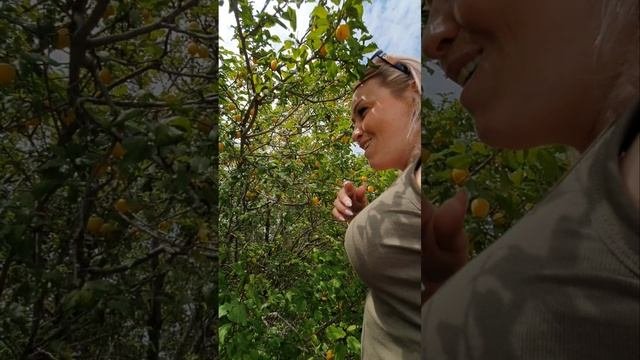 Севастополь Крым