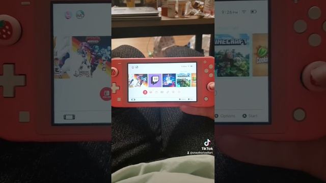 minecraft on Nintendo switch lite