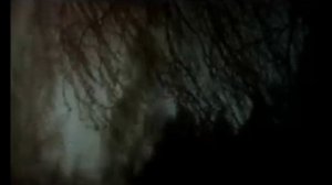 Г.В.Свиридов "Тройка"
Автор видео: Еленаツ