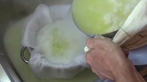 Как приготовить брынзу из коровьего молока в домашних условиях. Очень вкусная и нежная брынза