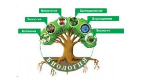 Биология с нуля.Первоначальные понятия о биологии!