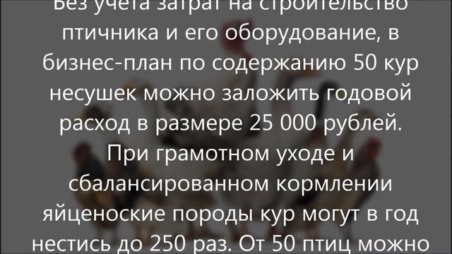 Бизнес план по разведению домашней птицы