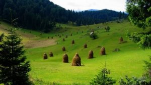 С ДНЕМ  РОЖДЕНИЯ БРАТИК !!!