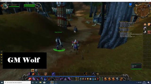Schützt Kaya | Protects Kaya | WoW Quest | GM Wolf | World of Warcraft Classic | HD смотреть онлайн