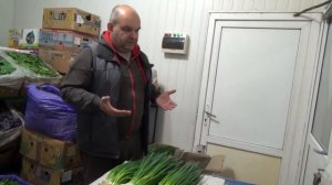 Семейный бизнес. Свежая зелень. Лук зелёный. Ответы на вопросы.