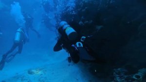 Дайвинг в Красном Море. Египет. Синайский полуостров. Дахаб