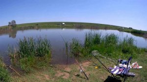 Рыбалка в Саратовской области. Карп на платном пруду.
