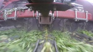 Копачи на свеклоуборочный комбайн Wic Ropa Holmer ООО Титан-Агро-Спец