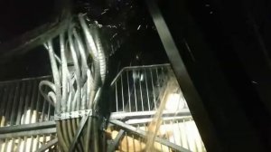 Форвардер Tigercat. Работа. Вид из кабины