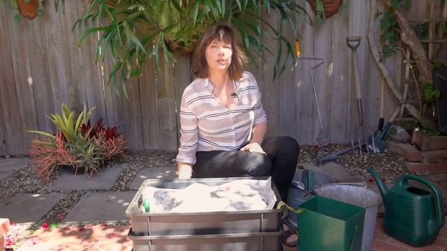 Worm Composting Quick+ Easy with WrigglyWranch bin - Lisa Ryder смотреть онлайн
