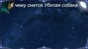 К чему снится Убитая собака (Сонник)