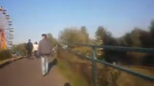 поиски голубого барана в зооперке. смотреть онлайн