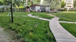 Мир бабочек? Аптекарский огород Ботанический сад МГУ. Часть2