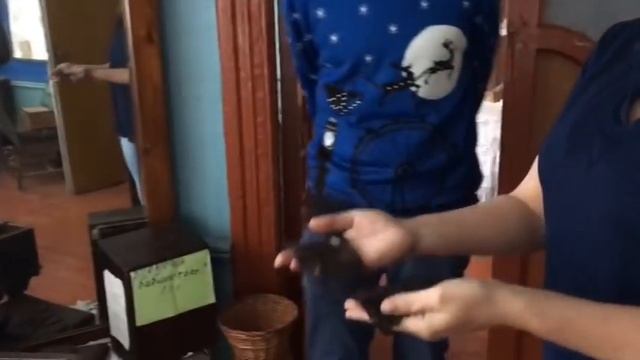 Прибытково. Спиритическая дача.