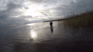 За уткой на Ладогу. Самотопом с собакой.  27 Октября 2021