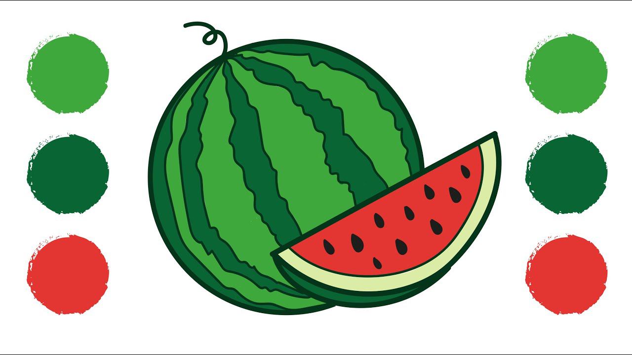 Как нарисовать АРБУЗ / Раскраска АРБУЗ / How to draw a WATERMELON / WATERMELON Coloring смотреть онлайн