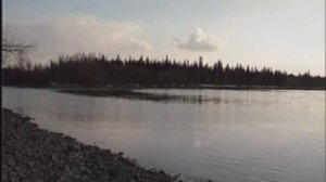 Девственные леса Коми