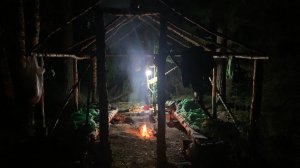 Новое убежище. Часть 2. Июль