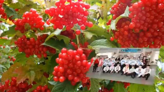 Маріупольська загальноосвітня школа № 47 смотреть онлайн