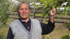 № 19. "Турбас ойну мунуп алгаш" / "Неустающего буланого [коня] оседлав" (исп. С. Э. Саая)