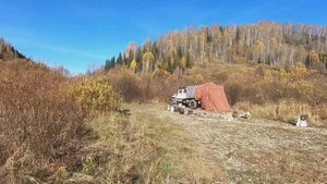 Газ 3308 #164 12.10.2019 Мрассу