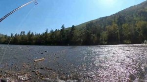 Рыбалка на Ленка в сентябре. Сплав по реке Анюй. Хабаровский край.