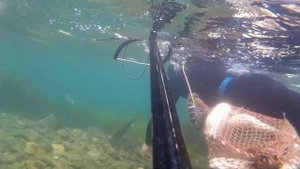 Подводная охота в Приморском крае 13.06.17