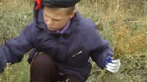 Процесс посадки и обработки льна - Уборка льна (20)