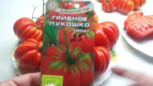 ОРИГИНАЛЬНЫЙ ТОМАТ ГРИБНОЕ ЛУКОШКО. Ольга Чернова.