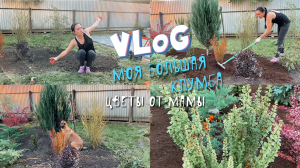 Эти цветы меня бесят ll Преображение клумбы