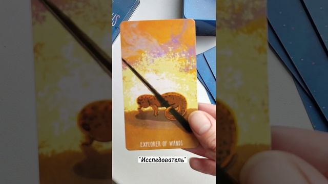 Просторное Таро. The Spacious Tarot. Обзор колоды карт Таро. Карты Таро с Озон. Таро с Ozon.