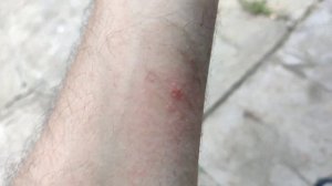 ? Жалит шершень / двойное ужаление