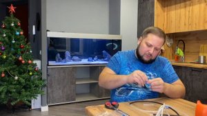 Запуск первой рыбы + лайфхаки для аквариума